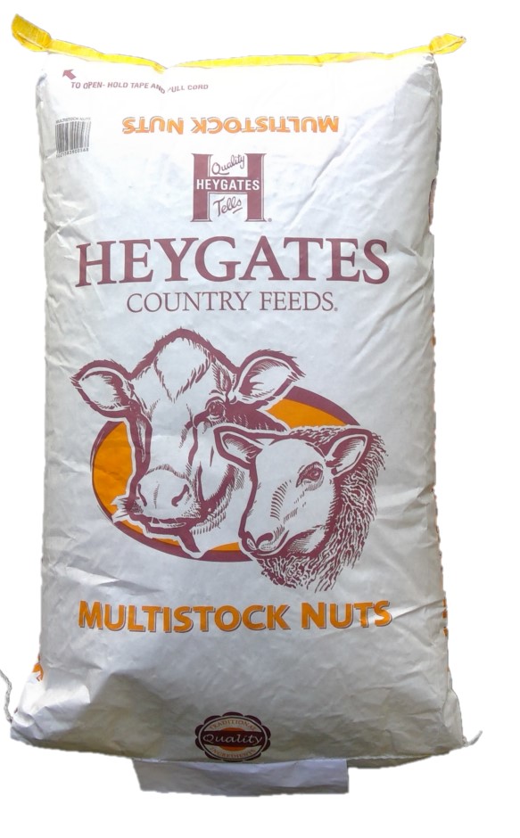 Heygates Multistock 18 Nut